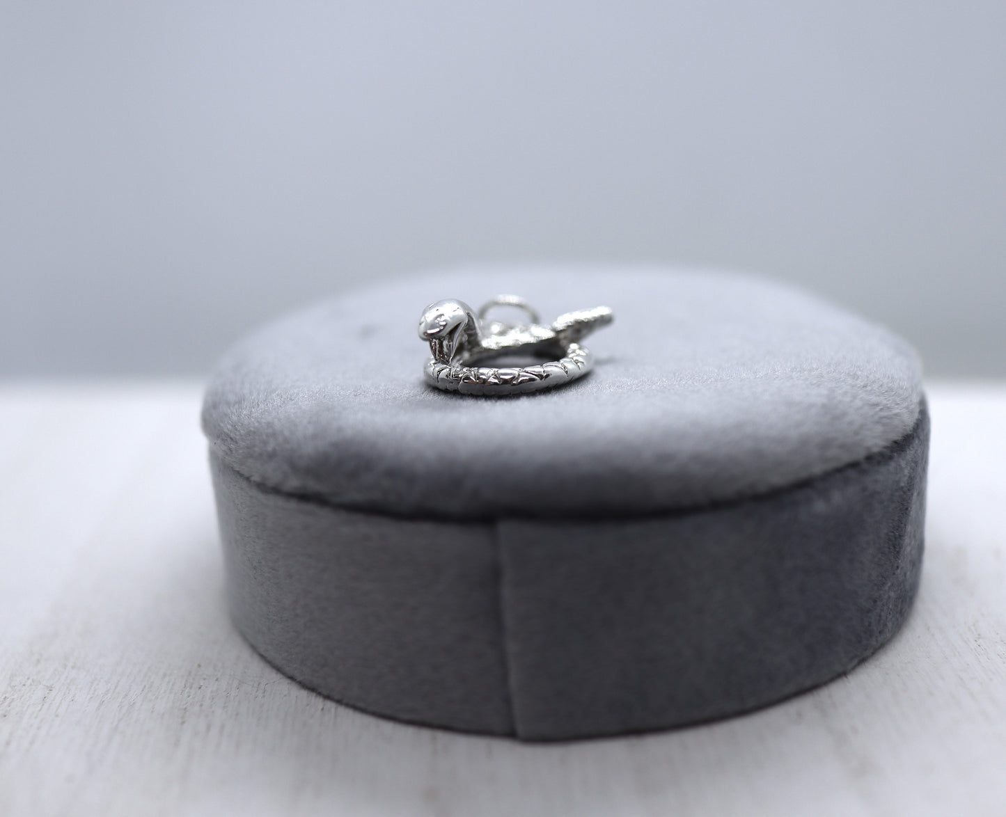 Snake Charm