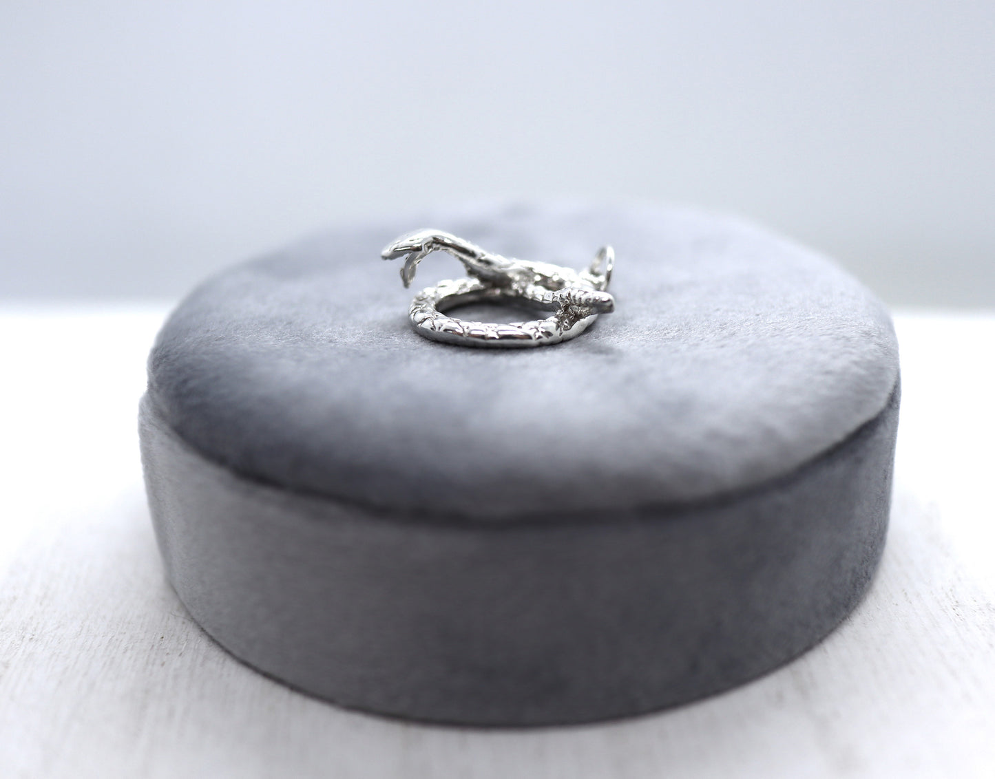 Snake Charm