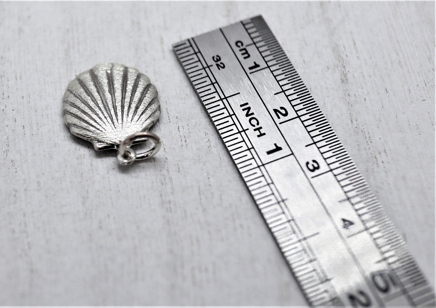 Small Scallop Shell