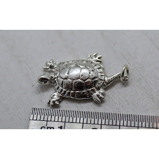 Terrapin Charm