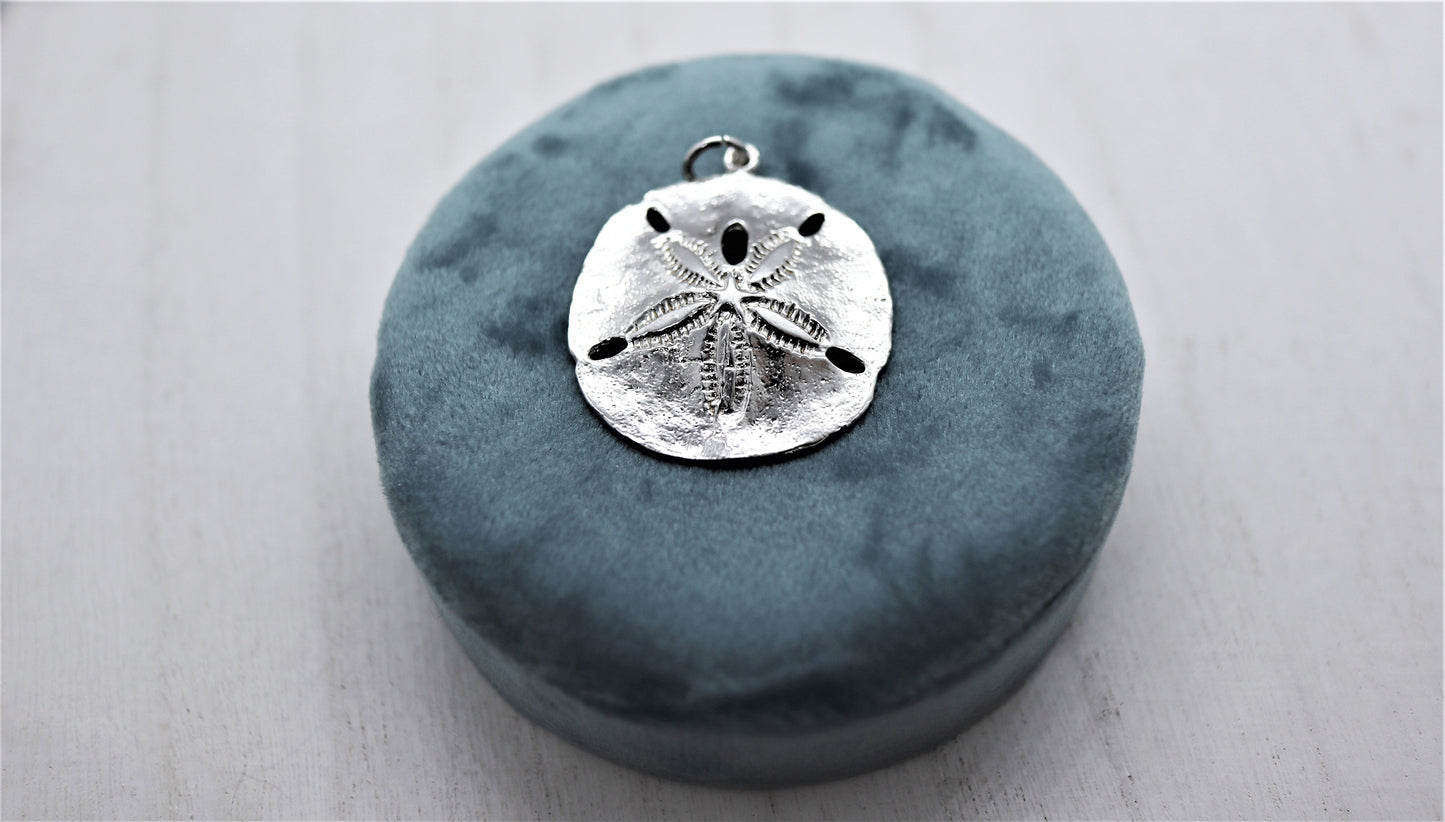 Large Sand Dollar