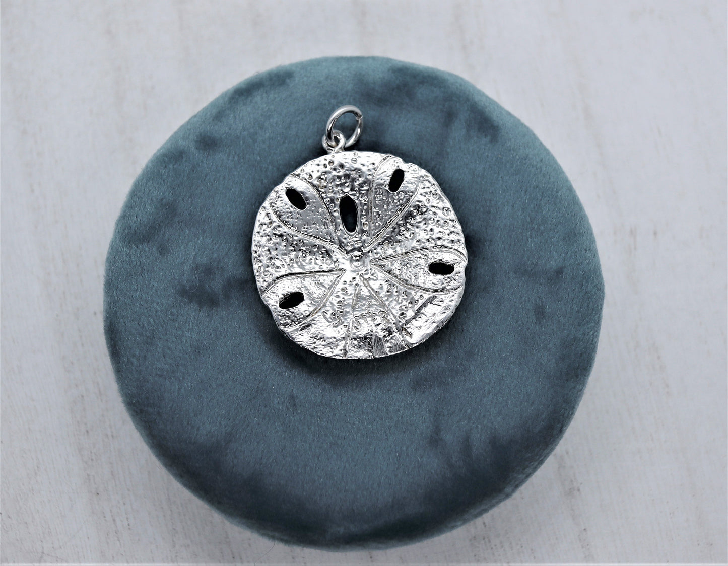 Large Sand Dollar