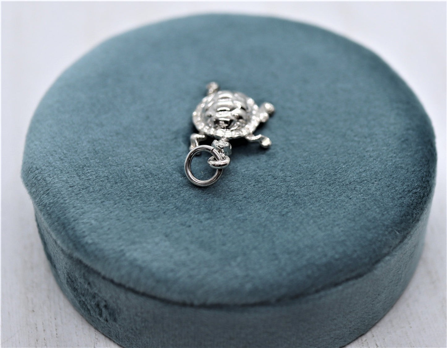 Box Turtle Charm