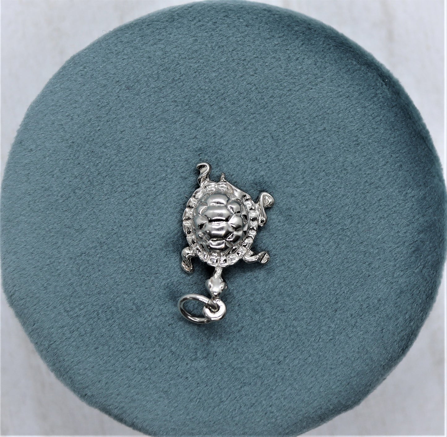 Box Turtle Charm