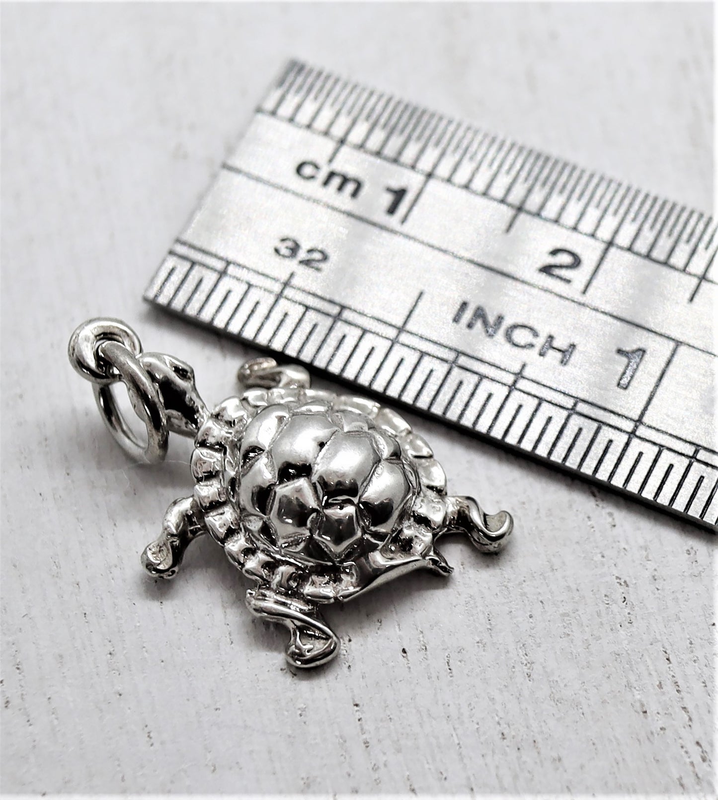 Box Turtle Charm